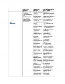 Como se da el Cuento de los animales