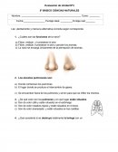 Evaluación de Unidad Nº3 5º BÁSICO CIENCIAS NATURALES