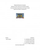 Cuales son los Organos de Dirección de la lucha no armada