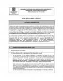 NIVEL INSTITUCIONAL - AÑO 2017 ALCANCE LINEAMIENTOS