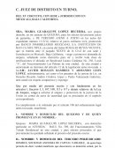 Como se daria una Demanda de amparo