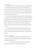 Informe produciion mas limpia