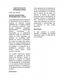 IDENTIFICACION DE ENTEROBACTERIAS