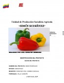 UN NUEVO PROYECTO AJI -PIMENTON