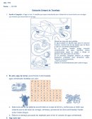 Ciencia evaluacion integral