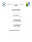 Historieta sobre la Infancia