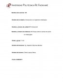 Campo de acción del metalurgista