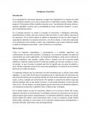 Protocolo de trabajo