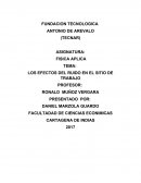 LOS EFECTOS DEL RUIDO EN EL SITIO DE TRABAJO