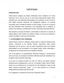 Investigacion con pasos administrativos CAFÉ DE PALQUI