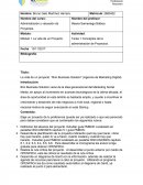 La vida de un proyecto “Brio Business Solution” (Agencia de Marketing Digital)