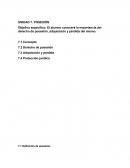 Activida de derecho. La posesión