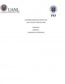 IMPORTANCIA DE LA BIOQUIMICA EN ODONTOLOGIA