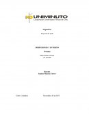 EJEMPLO DE LA DIMENSIÓN Y ENTORNO