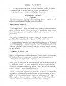 Como se da un Desarrollo organizacional