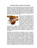 Análisis del origen y desarrollo de la propiedad.