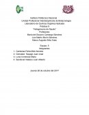 Laboratorio de Química Orgánica Aplicada