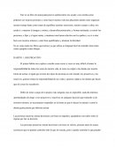 Ensayo Los 7 hábitos de los adolescentes altamente efectivos