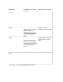 En que Parte se visualiza en la película