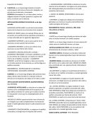 Esqueleto del hombro