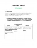 Trabajo Informática parcial