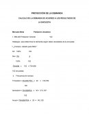 CALCULO DE LA DEMANDA DE ACUERDO A LOS RESULTADOS DE LA ENCUESTA