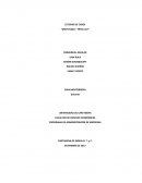 Estudio de Casos (Matutano - Frito Lay)