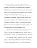 SEGURIDAD / INSEGURIDAD: PERCEPCIONES Y DELITOS CONCRETOS