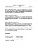 ¿Qué es nuestro lunch ecológico?