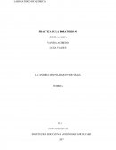 Los siguientes experimentos se hicieron teniendo en cuenta los cambios en el estado de la materia