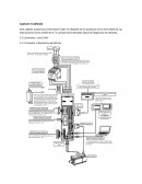 Compruebe si la alimentación y el cableado entre R, S, T