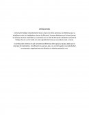 Como se diferencia el grupo de un equipo