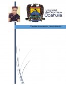 Como es que se puede forrmar profesionistas especializados en la toma de decisiones