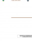 PROYECTO CONTAMINACION DEL MANTARO