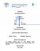 Psicodiagnostico niño