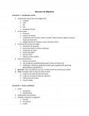 Resumen de Objetivos Introducción a JAVA