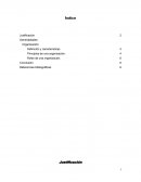 Organizacion. Definición y características