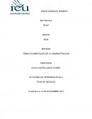 TEMAS ELEMENTALES DE LA ADMINISTRACION