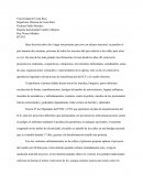 Ensayo Codo del Diablo