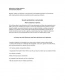 Aplicando mi enfoque sistémico