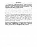 Capacidades Fisicas ensayo