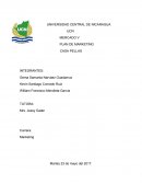 PLAN DE MARKETING CASA PELLAS