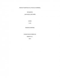 ENSAYO FILOSOFICO DE LA PELICULA HANNIBAL. Página 1