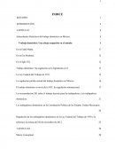 EL TRABAJO DOMESTICO