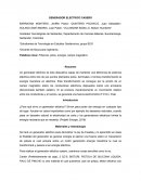 GENERADOR ELECTRICO CASERO