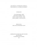 SOLUCIÓN DE LA ACTIVIDAD “INDICADORES DE LA ECONOMIA EN GIRARDOT”