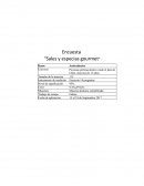 Encuesta “Sales y especias gourmet”