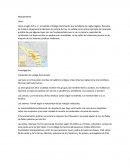 DOCTRINAS ETICAS Contenido del codigo Hammurabi