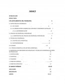 Estrategias de Enseñanza-Aprendizaje