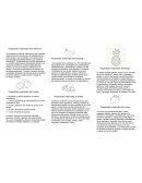 Propiedades medicinales de la Manzana